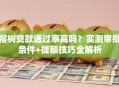 榕树贷款通过率高吗？实测审批条件+提额技巧全解析