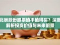 北辰股份股票值不值得买？深度解析投资价值与未来前景