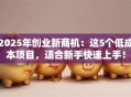 2025年创业新商机：这5个低成本项目，适合新手快速上手！