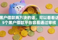 黑户借款两万块的话，可以看看这5个黑户借款平台容易通过审核