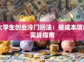 大学生创业冷门玩法：低成本项目实战指南