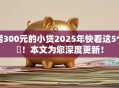 借300元的小贷2025年快看这5个​！本文为您深度更新！
