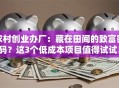 农村创业办厂：藏在田间的致富密码？这3个低成本项目值得试试！