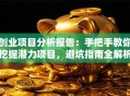 创业项目分析报告：手把手教你挖掘潜力项目，避坑指南全解析！