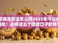 芝麻贷款王怎么样2025年今日揭晓啦！必用这五个借款口子软件芝麻借钱怎么样