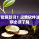 17岁能贷款吗？这些软件注意事项必须了解