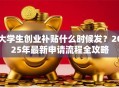 大学生创业补贴什么时候发？2025年最新申请流程全攻略