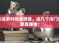东北农村创业项目，这几个冷门生意真赚钱！