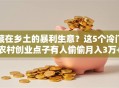 藏在乡土的暴利生意？这5个冷门农村创业点子有人偷偷月入3万+