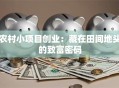 农村小项目创业：藏在田间地头的致富密码