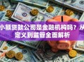 小额贷款公司是金融机构吗？从定义到监管全面解析