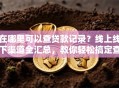 在哪里可以查贷款记录？线上线下渠道全汇总，教你轻松搞定查询