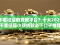 不看征信的贷款平台？十大2025不查征信小额贷款必下口子推荐