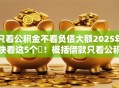 只看公积金不看负债大额2025年快看这5个​！概括借款只看公积金不查网贷软件