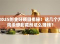 2025创业好项目揭秘！这几个方向没想到竟然这么赚钱？