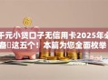 千元小贷口子无信用卡2025年必备​这五个！本篇为您全面枚举！