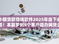 小额贷款借钱软件2025年当下必看！本篇罗列5个黑户能办网贷么现在