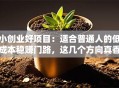 小创业好项目：适合普通人的低成本稳赚门路，这几个方向真香！