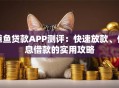 鲸鱼贷款APP测评：快速放款、低息借款的实用攻略