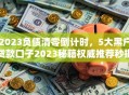 2023负债清零倒计时，5大黑户贷款口子2023秘籍权威推荐秒批！