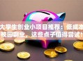 大学生创业小项目推荐：低成本校园副业，这些点子值得尝试！