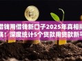 借钱用借钱新口子2025年真相揭晓！深度统计5个贷款用贷款新平台