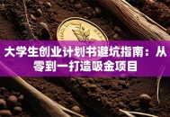 大学生创业计划书避坑指南：从零到一打造吸金项目