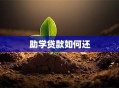 助学贷款如何还