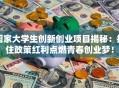 国家大学生创新创业项目揭秘：抓住政策红利点燃青春创业梦！