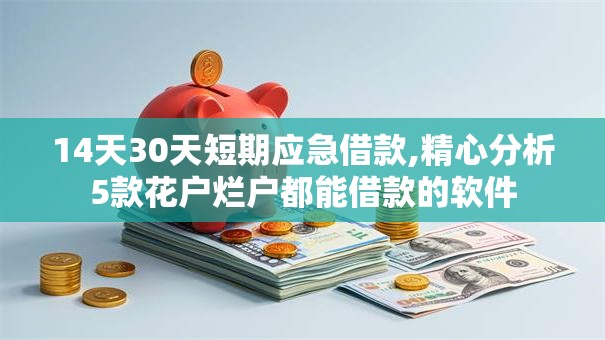 14天30天短期应急借款,精心分析5款花户烂户都能借款的软件