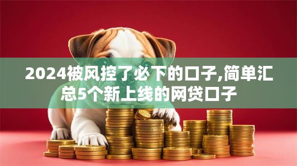 2024被风控了必下的口子,简单汇总5个新上线的网贷口子