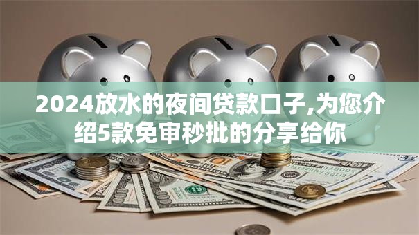 2024放水的夜间贷款口子,为您介绍5款免审秒批的分享给你