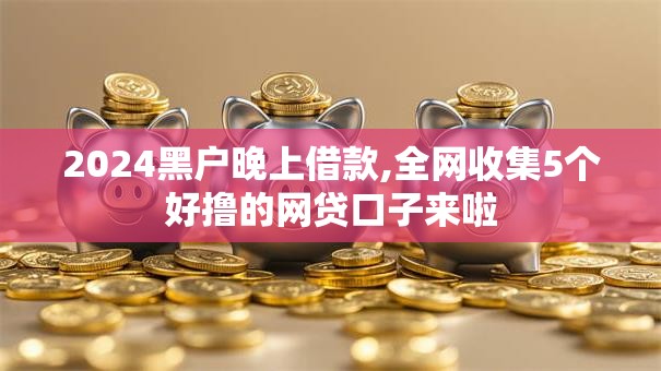 2024黑户晚上借款,全网收集5个好撸的网贷口子来啦