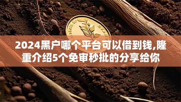 2024黑户哪个平台可以借到钱,隆重介绍5个免审秒批的分享给你