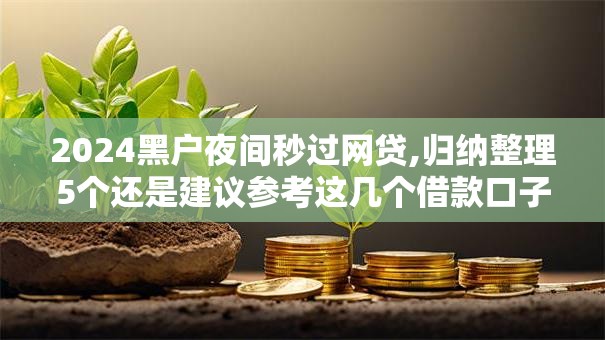 2024黑户夜间秒过网贷,归纳整理5个还是建议参考这几个借款口子吧