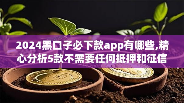 2024黑口子必下款app有哪些,精心分析5款不需要任何抵押和征信的口子