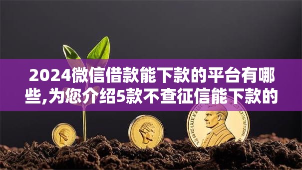 2024微信借款能下款的平台有哪些,为您介绍5款不查征信能下款的口子