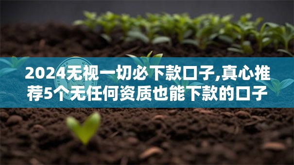 2024无视一切必下款口子,真心推荐5个无任何资质也能下款的口子