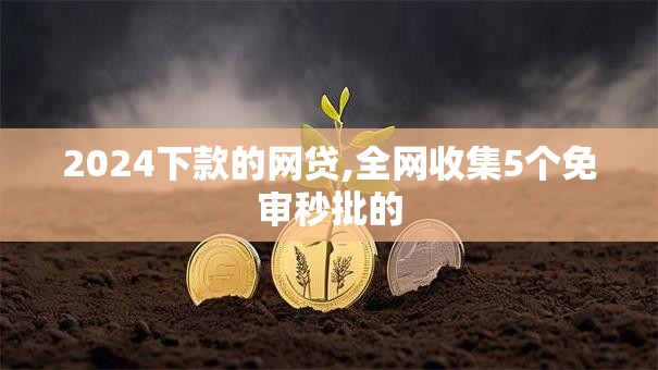 2024下款的网贷,全网收集5个免审秒批的