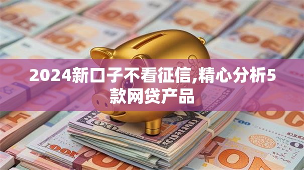 2024新口子不看征信,精心分析5款网贷产品
