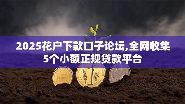 2025花户下款口子论坛,全网收集5个小额正规贷款平台
