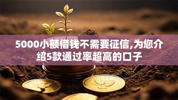 5000小额借钱不需要征信,为您介绍5款通过率超高的口子
