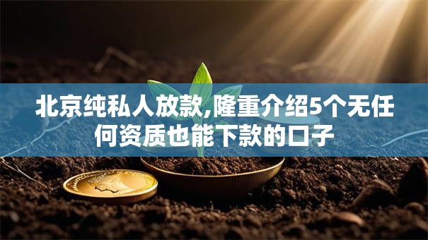 北京纯私人放款,隆重介绍5个无任何资质也能下款的口子