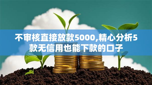 不审核直接放款5000,精心分析5款无信用也能下款的口子