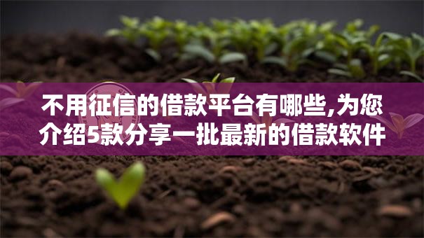 不用征信的借款平台有哪些,为您介绍5款分享一批最新的借款软件