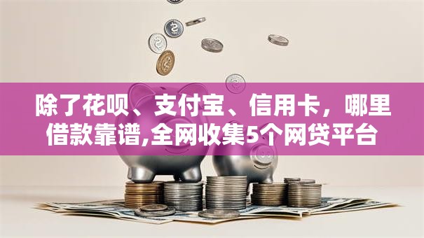 除了花呗、支付宝、信用卡，哪里借款靠谱,全网收集5个网贷平台给你