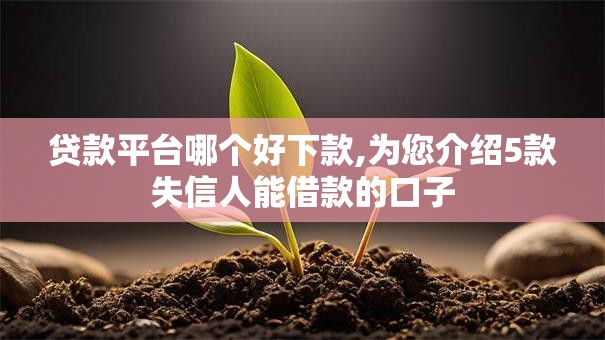 贷款平台哪个好下款,为您介绍5款失信人能借款的口子