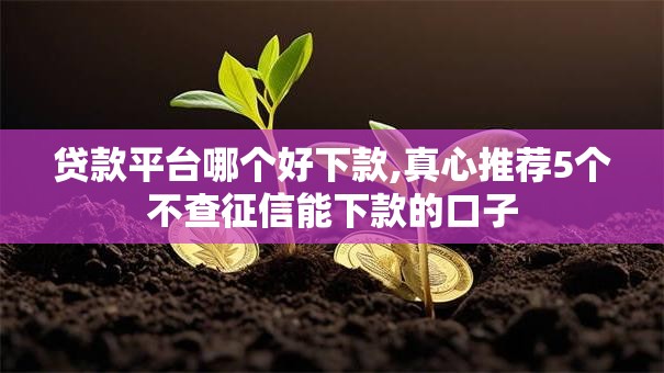 贷款平台哪个好下款,真心推荐5个不查征信能下款的口子