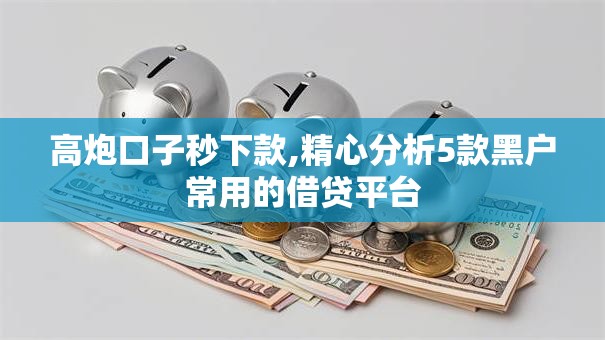 高炮口子秒下款,精心分析5款黑户常用的借贷平台