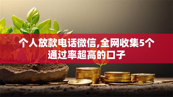 个人放款电话微信,全网收集5个通过率超高的口子